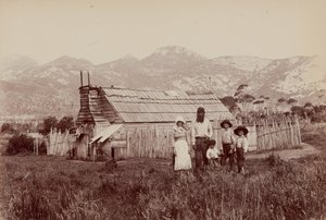Islanders Home, Flinders-sziget